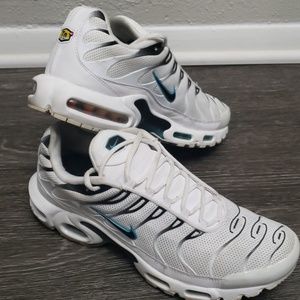 nike air max tn dusty cactus